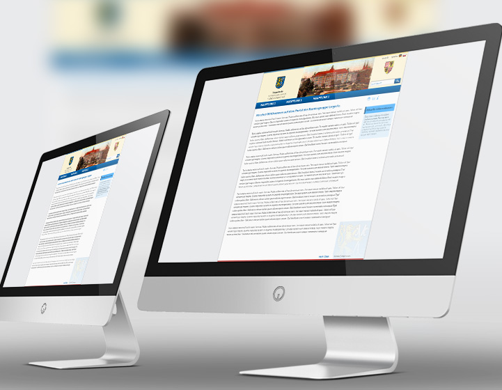 Projekt TYPO3, Webdesign